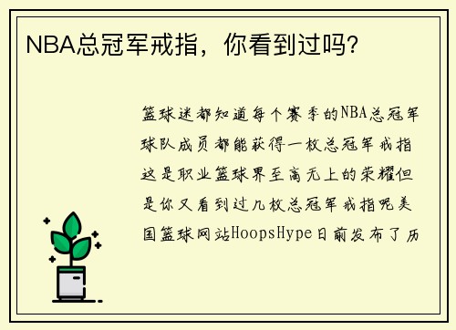 NBA总冠军戒指，你看到过吗？