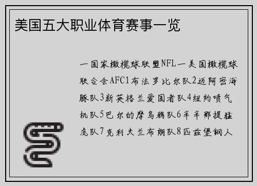 美国五大职业体育赛事一览